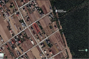 Vânzare teren 1008 mp Moara Vlăsiei, lânga pădure  - imagine 2