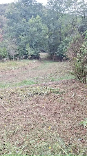 Vând grădină intravilan pe Valea Bârzăvii - imagine 3