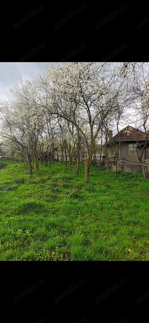Vand casa in sat Samboleni - imagine 2