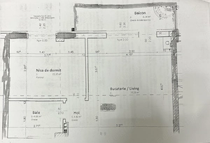 PF vând ap 2 camere Florești, Teilor - imagine 10