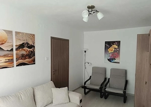 Apartament 3 camere zona Vasile Aron - imagine 2