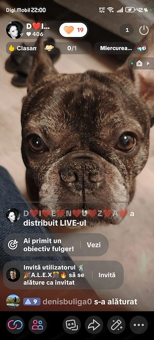 Adopție !Cautam o familie!  - imagine 2