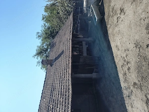 Casa comuna Afumați, jud Dolj - imagine 3