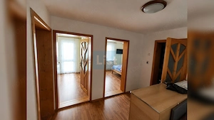 Vilă exclusivă cu ciubăr la munte Teren 8573 mp Cabană 136 mp  Vama - imagine 7