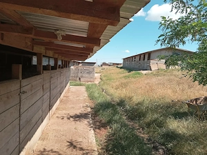 Teren pt casa dealu mare