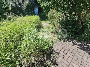 Casa cu 2 camere decomandate 335 mp teren in zona Parcul Tineretului - imagine 14