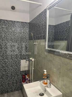 Vilă, P+1+M, de vânzare, 170 mp, Viile Noi, Deva - imagine 7