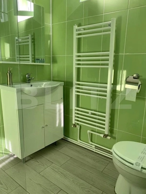 Vilă, P+1+M, de vânzare, 170 mp, Viile Noi, Deva - imagine 10