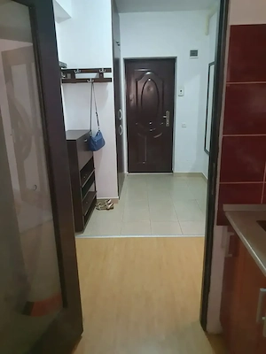 Inchiriez apartament cu 2 camere cu parcare,zona Porii - imagine 8