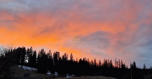 Teren de 3,25 ha de vânzare în Valea Putnei, oportunitate in Bucovina - imagine 8