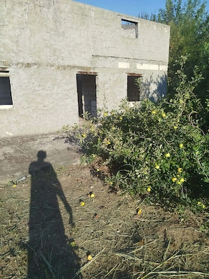 Casa de vanzare 2.000mp - imagine 4