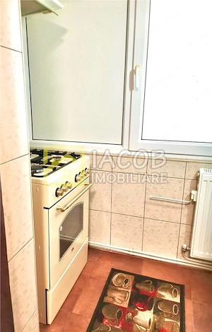 Apartament cu 3 camere decomandate, strada Alecu Russo Bacau - imagine 9