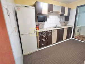 Apartament cu 3 camere decomandate, strada Alecu Russo Bacau - imagine 10