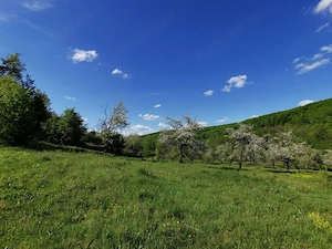 Teren de Vânzare, Budeasa Mica – Potrivit pentru Casă de Vacanță sau Investiție - imagine 12