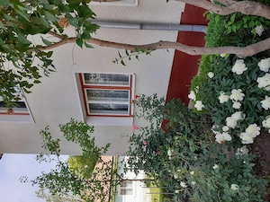 Casa de vanzare - imagine 6