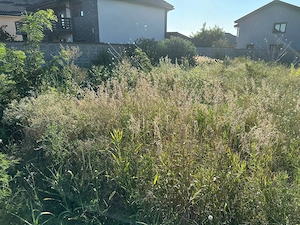Teren intravilan Craiova, zona Damila - imagine 3