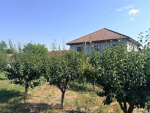 Casă P+1+M cu 3.500 m  teren, livadă și dependință locuibilă   Casicea, jud. Constanța - imagine 3