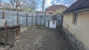 Casă cărămidă 99 mp + casă de oaspeți 51 mp, teren 949 mp, Curtea, Timiș - imagine 7