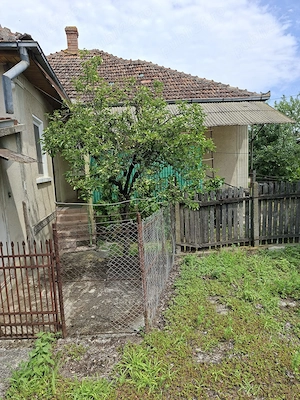 De vânzare casă familială în Dobra (jud. Satu Mare) - imagine 3