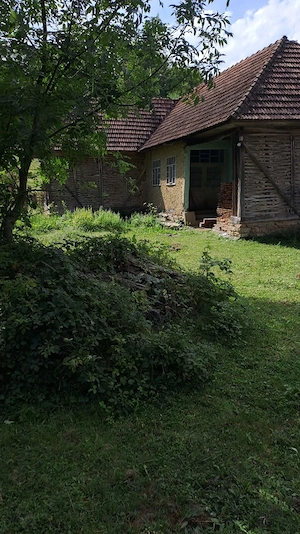 Casa cu teren de 1 hectar în Roșia, Bihor, zonă turistică. - imagine 5