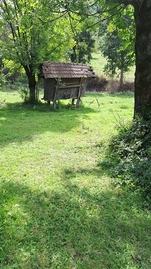 Casa cu teren de 1 hectar în Roșia, Bihor, zonă turistică. - imagine 7