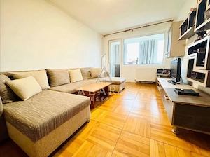 Apartament cu 2 camere, centrala proprie, in Sagului - imagine 2