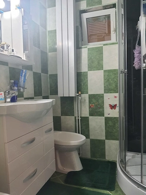 Casă individuală, St = 3.000 mp | Biled, jud. Timiș - imagine 8