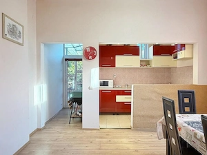 Casa ultracentral singura in curte | Podul Centenarului - imagine 11