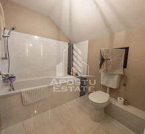 Casa individuala de vanzare cu 11 camere, an 2000, Lipovei, Timisoara - imagine 8