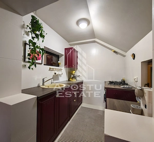 Casa individuala de vanzare cu 11 camere, an 2000, Lipovei, Timisoara - imagine 13