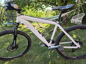 Mountain bike Prophete