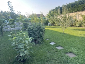 Proprietar vând casă  în Gradiste 