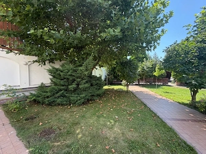 Duplex, 800 mp, zona Centru - imagine 2