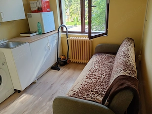 Închiriere garsoniera Albac 25 - imagine 2