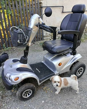 handicap dizabilitati