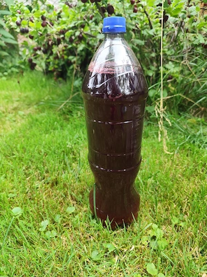 Suc concentrat pasteurizat de coacăze roșii.