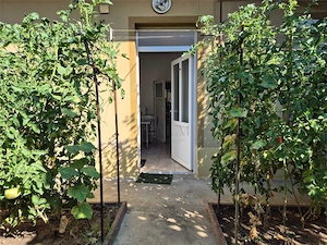 Apartament 1 camera-Centrala-La casa-Iosefin