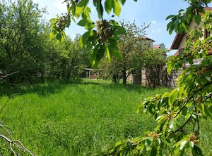 Teren - Plopi - Toate utilitatile - zona linistita