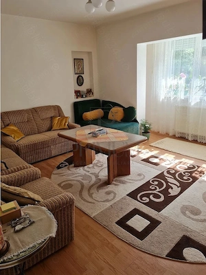 Apartament 1 camera-Lipovei