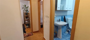 ARADULUI - LIFT - 4 CAMERE - 2 BAI - DECOMANDAT - CENTRALA - CLIMA - LOC PARCARE - imagine 20