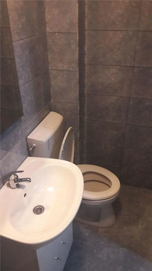 LIPOVEI - APARTAMENT 1 CAMERA - mobilat,utilat, decomandat - imagine 8