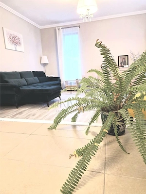 Duplex 4 camere P+1 mobilat si utilat - Dumbravita - imagine 11