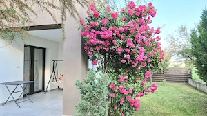 Duplex 4 camere P+1 mobilat si utilat - Dumbravita - imagine 4