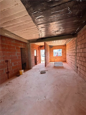 DUPLEX P+1, MOSNITA NOUA, 4 CAMERE, 360MP TEREN. - imagine 10