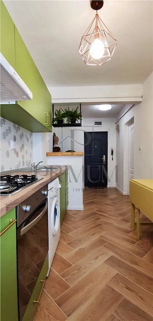 SAGULUI - 2 CAMERE - CLIMA - PARTER - imagine 5