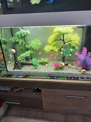 acvariu pesti 140 litri JUWEL - imagine 2