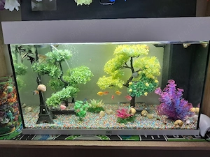 acvariu pesti 140 litri JUWEL