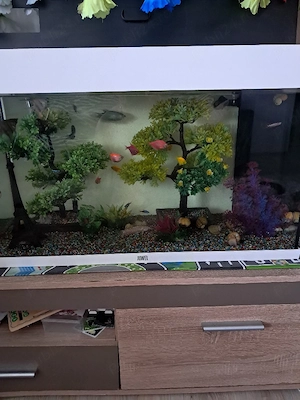 acvariu pesti 140 litri JUWEL - imagine 4