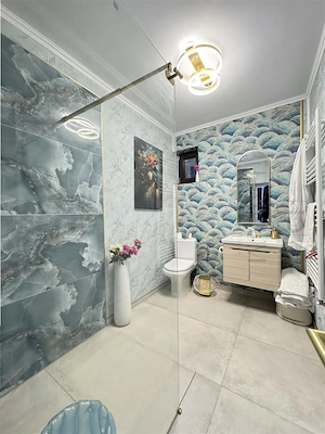 CIARDA ROSIE - CASA INDIVIDUALA - GARAJ - TEREN 720MP - PARTIAL AMENAJATA - imagine 5