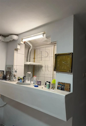 LIPOVEI - PARTER - BLOC IZOLAT - 3 CAMERE - 2 BAI - BALCON - CENTRALA PROPRIE - DECOMANDAT - imagine 12